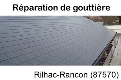 Travaux rénovation gouttière 