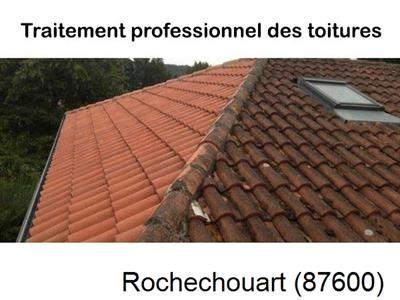 Couvreur pro 87 sur Rochechouart-87600