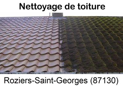 Entreprise de démoussage à Roziers-Saint-Georges-87130