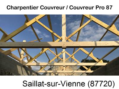 Couvreur pro 87 sur Saillat-sur-Vienne-87720