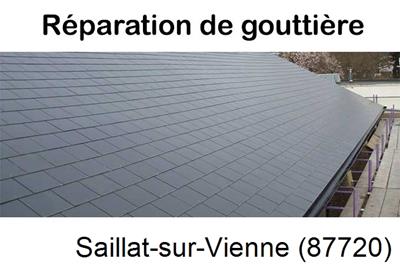 Travaux rénovation gouttière 