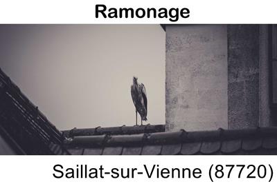 Artisan ramoneur Saillat-sur-Vienne-87720