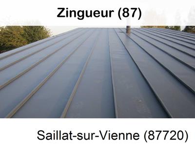 Votre zingueur en image à Saillat-sur-Vienne-87720