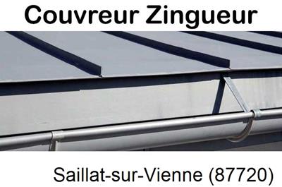 Photo toiture zinc Saillat-sur-Vienne-87720