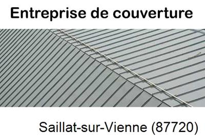 Couvreur pro 87 Saillat-sur-Vienne-87720