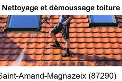 Artisan couvreur propose anti-mousse à Saint-Amand-Magnazeix-87290