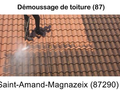 Toiture démoussage Saint-Amand-Magnazeix-87290