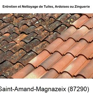 Nettoyage toiture à Saint-Amand-Magnazeix-87290