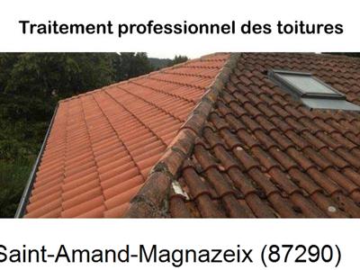 Couvreur pro 87 sur Saint-Amand-Magnazeix-87290