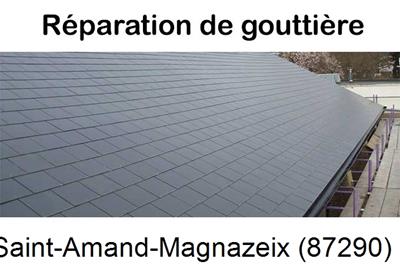 Travaux rénovation gouttière 