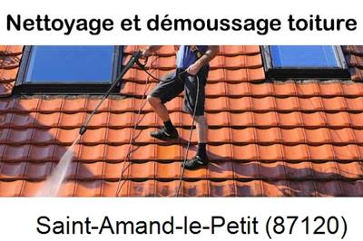 Artisan couvreur propose anti-mousse à Saint-Amand-le-Petit-87120