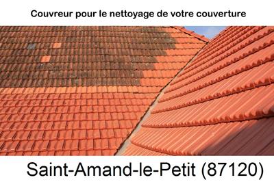 Entreprise de couverture à Saint-Amand-le-Petit-87120