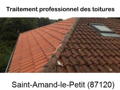 Couvreur pro 87 sur Saint-Amand-le-Petit-87120