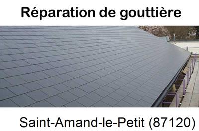 Travaux rénovation gouttière 