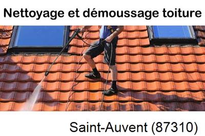 Artisan couvreur propose anti-mousse à Saint-Auvent-87310