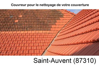 Entreprise de couverture à Saint-Auvent-87310