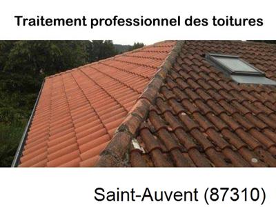 Couvreur pro 87 sur Saint-Auvent-87310