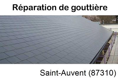 Travaux rénovation gouttière 