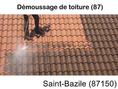 Toiture démoussage Saint-Bazile-87150