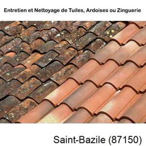 Nettoyage toiture à Saint-Bazile-87150