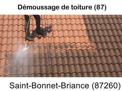 Toiture démoussage Saint-Bonnet-Briance-87260