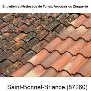 Nettoyage toiture à Saint-Bonnet-Briance-87260