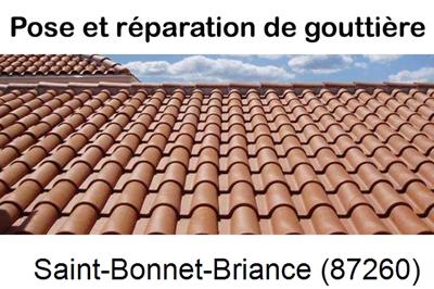 gouttière à Saint-Bonnet-Briance-87260