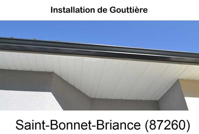 Entreprise de gouttière à Saint-Bonnet-Briance-87260