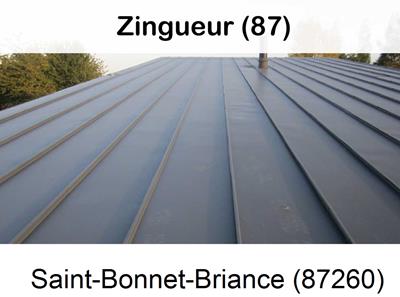 Votre zingueur en image à Saint-Bonnet-Briance-87260