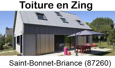 Couverture zing à Saint-Bonnet-Briance-87260