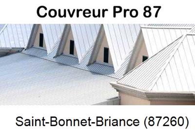 Entreprise de zinguerie à Saint-Bonnet-Briance-87260