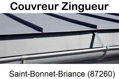 Photo toiture zinc Saint-Bonnet-Briance-87260