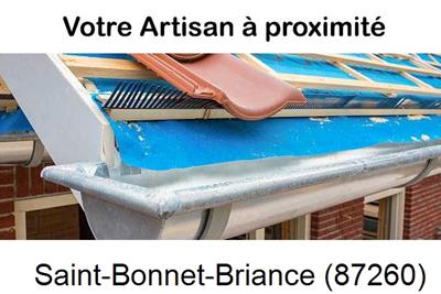 Toiture neuve en zinc Saint-Bonnet-Briance-87260