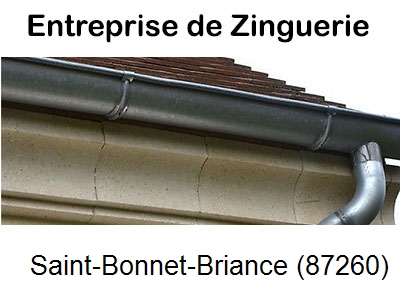 Artisan couvreur zingueur Saint-Bonnet-Briance-87260