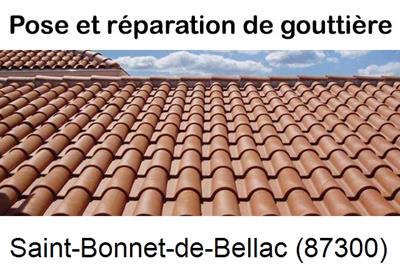 gouttière à Saint-Bonnet-de-Bellac-87300