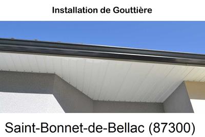 Entreprise de gouttière à Saint-Bonnet-de-Bellac-87300