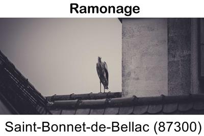 Artisan ramoneur Saint-Bonnet-de-Bellac-87300