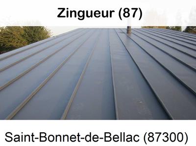 Couverture zing à Saint-Bonnet-de-Bellac-87300