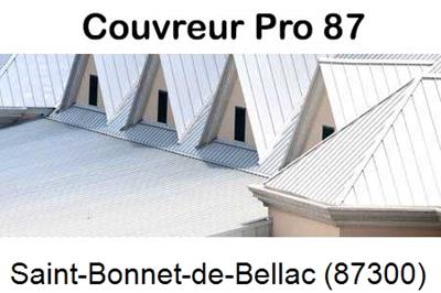 Entreprise de zinguerie à Saint-Bonnet-de-Bellac-87300