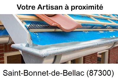 Toiture neuve en zinc Saint-Bonnet-de-Bellac-87300