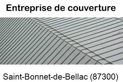 Artisan couvreur zingueur Saint-Bonnet-de-Bellac-87300