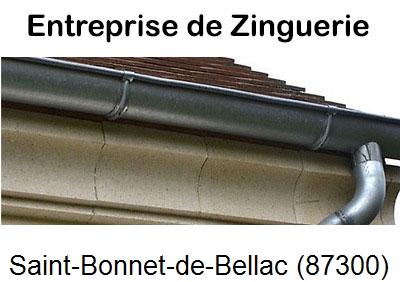 Votre zingueur en image à Saint-Bonnet-de-Bellac-87300