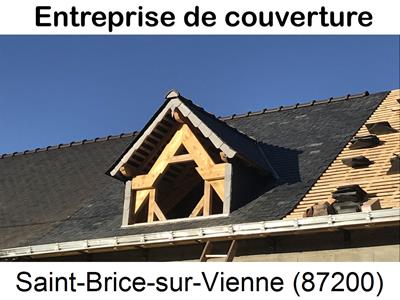 Charpentier, charpente bois Saint-Brice-sur-Vienne-87200