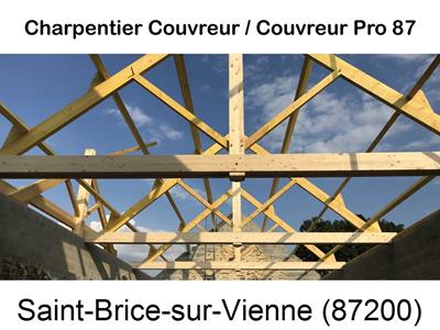 Couvreur pro 87 sur Saint-Brice-sur-Vienne-87200