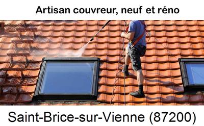 Artisan couvreur propose anti-mousse à Saint-Brice-sur-Vienne-87200