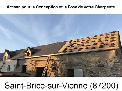 Rénovation charpente Saint-Brice-sur-Vienne-87200