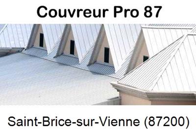 Entreprise de zinguerie à Saint-Brice-sur-Vienne-87200