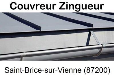 Photo toiture zinc Saint-Brice-sur-Vienne-87200