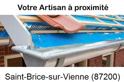 Toiture neuve en zinc Saint-Brice-sur-Vienne-87200