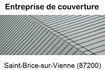 Couvreur pro 87 Saint-Brice-sur-Vienne-87200